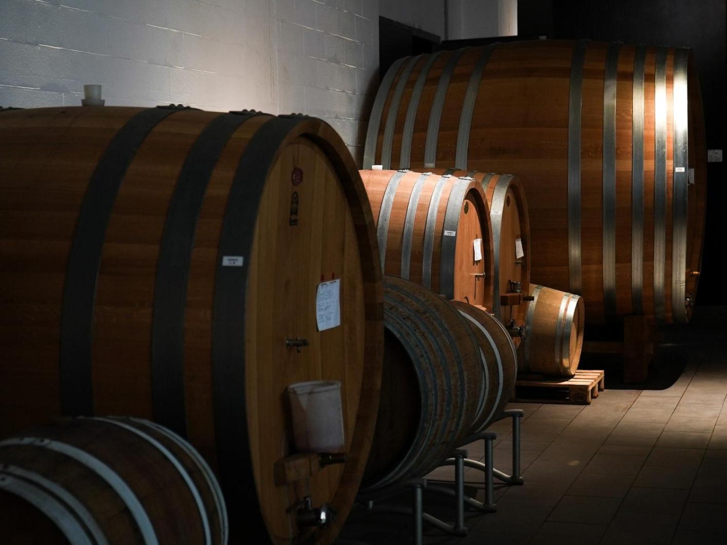 Foresteria, Winery & Events Destination Monforte dʼAlba Buitenkant foto